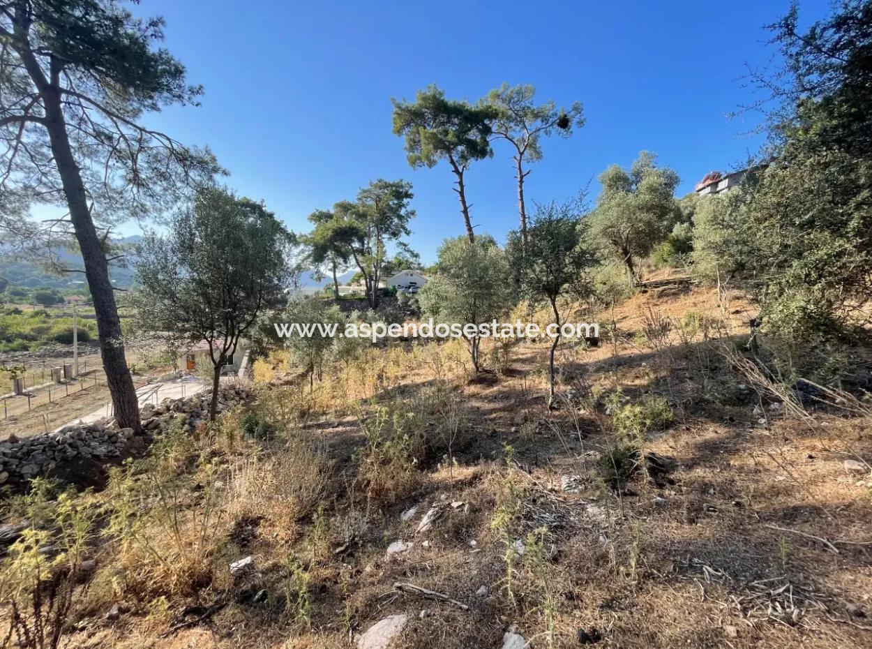 1.320M2 Feld Zum Verkauf Im Zentrum Von Çandır Am Wald