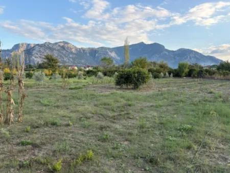 7.450M2 Land Zum Verkauf In Der Nähe Des Zentrums Von Dalyan