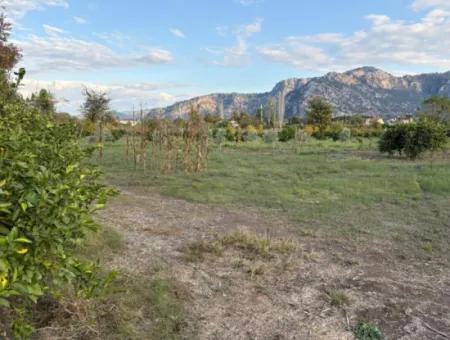 7.450M2 Land Zum Verkauf In Der Nähe Des Zentrums Von Dalyan