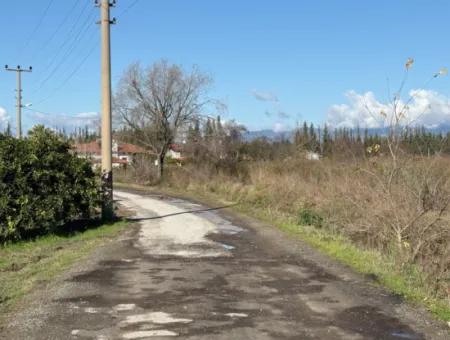 23.000M2 Freistehender Feldgarten Zum Verkauf In Tepearasin,