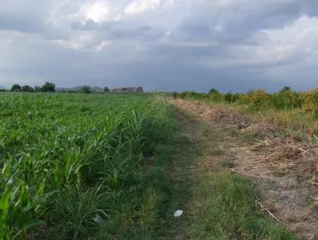 Bauernhof Zum Verkauf In Der Nähe Des Zentrums Von Dalyan,14, 612M2 Bauernhof Zum Verkauf