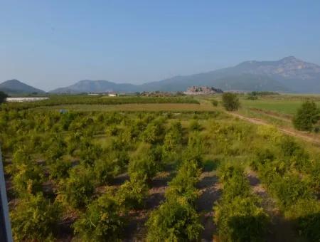 Seeblick Villa Zum Verkauf In Dalyan Eskikoy