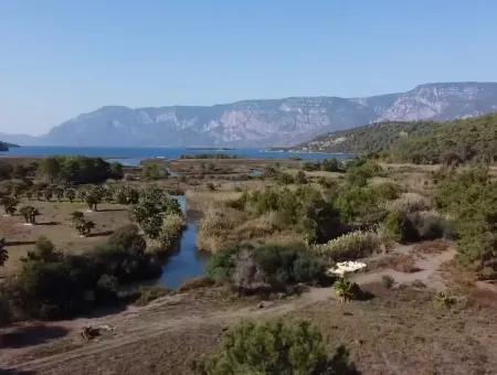 Land Zum Verkauf In 'Aml'da Marmaris 'Aml'da Meerblick 11720M2 Land Zu Verkaufen