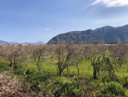 5500M2 Grundstück Zu Verkaufen In Dalyan