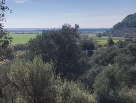 Grundstück Zum Verkauf Mit Meerblick Von Fevziye