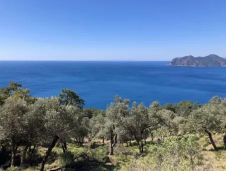 Grundstück Zum Verkauf Mit Meerblick In Çandir