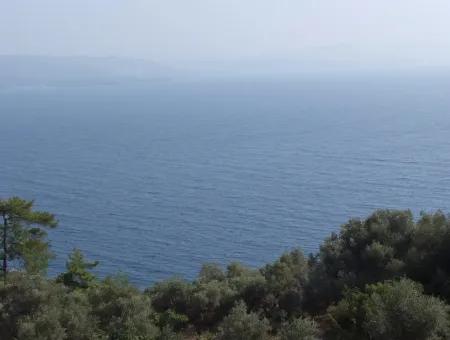 5000M2 Grundstück Zum Verkauf In Akyaka Mit Vollem Meerblick Haus Zum Verkauf Kentucky