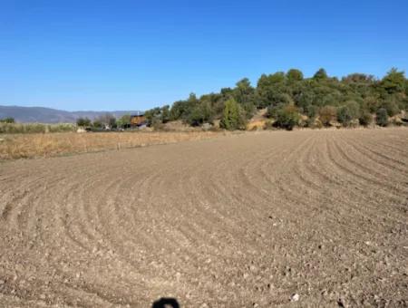 6254M2 Feld Zum Verkauf In Der Nähe Von Dalyan In Eskiköy