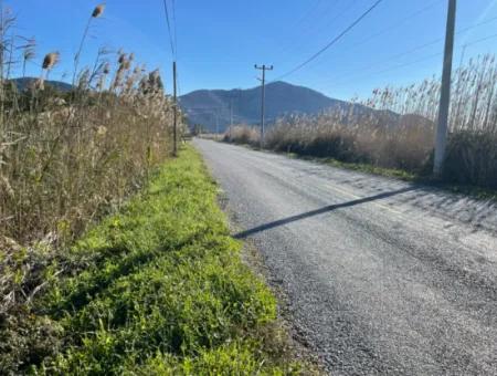 Dalyan Iztuzu Road Zero 5216M2 Feldgrundstück Zum Verkauf