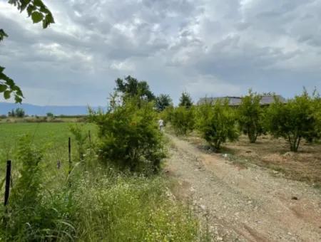 2.528M2 Feld Zum Verkauf In Der Nähe Des Zentrums Von Dalyan