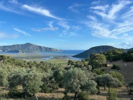 2B Grundstück Zum Verkauf Mit Meerblick In Çandır