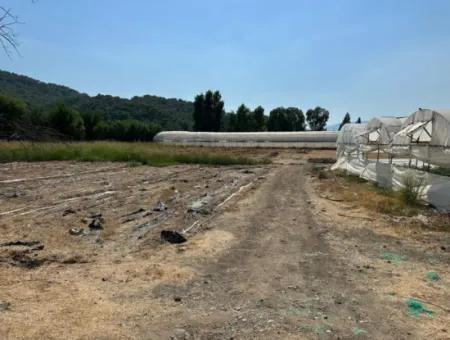 1462M2 Zoniertes Grundstück Zum Verkauf In Ortaca Ekşiliyurt