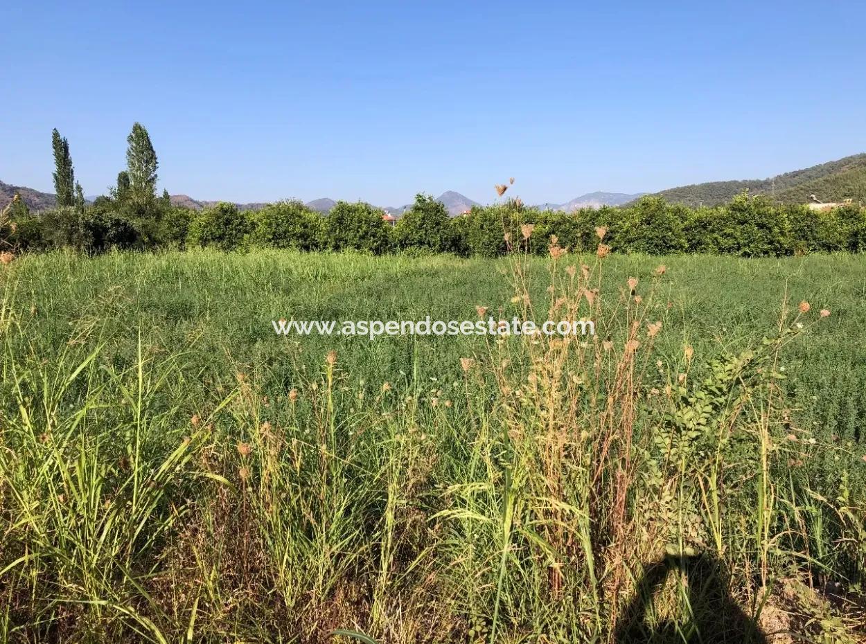 Land For Sale In The Center 891M2 Land For Sale