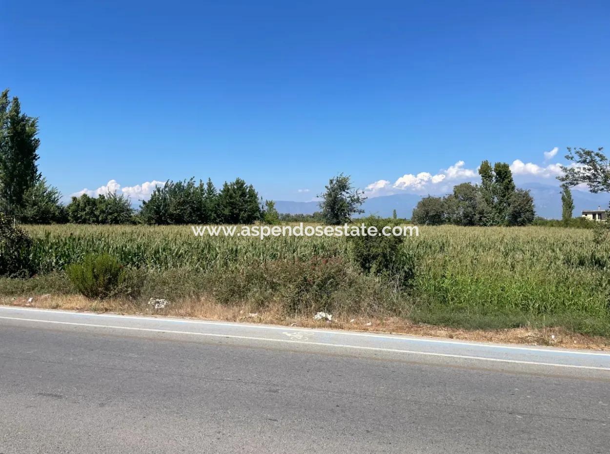 Dalyan Main Road Zero Land For Sale 8115M2 Commercial Land For Sale