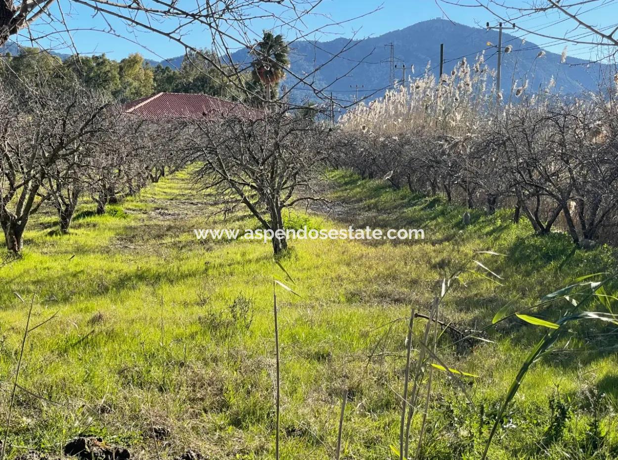 Dalyan Iztuzu Road Zero 5216M2 Field Plot For Sale