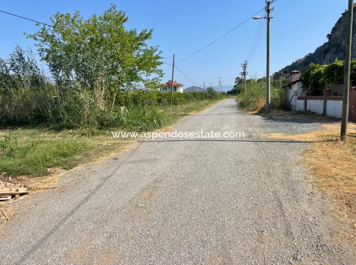 10,000M2 Pomegranate Garden For Sale In Dalyan Arıkbaşı And Gerendüzün