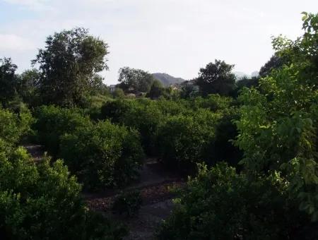 Near The Centre Of Dalyan In Dalyan Plot For Sale For Sale 987M2