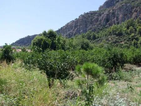 In Dalyan Plot For Sale In Channel Zero