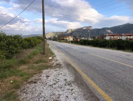 Land For Sale In Dalyan Gülpınar On The Main Road 9,037M2