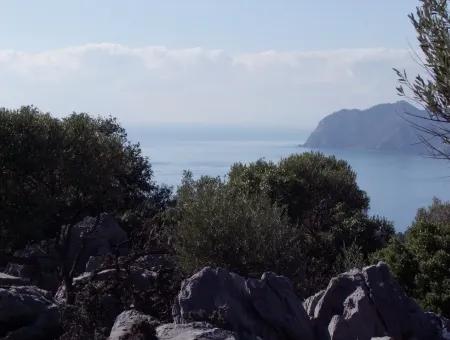 Çandır 5367M2 Farm Land For Sale Sea Views