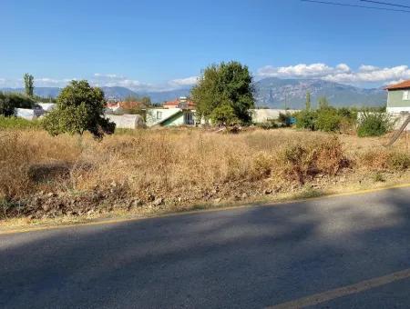 Land For Sale On 2506M2 Mainroa In Kavakarası