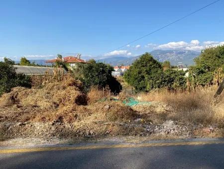 Land For Sale On 2506M2 Mainroa In Kavakarası