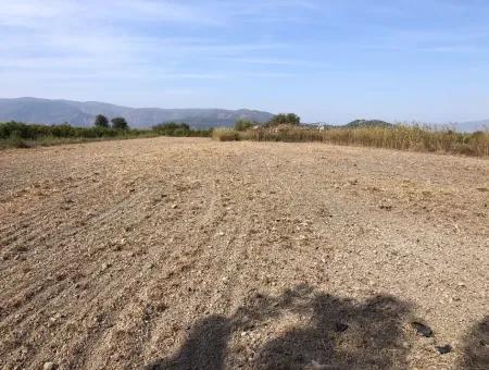 Land For Sale In Esköy 8500M2 Field Land For Sale