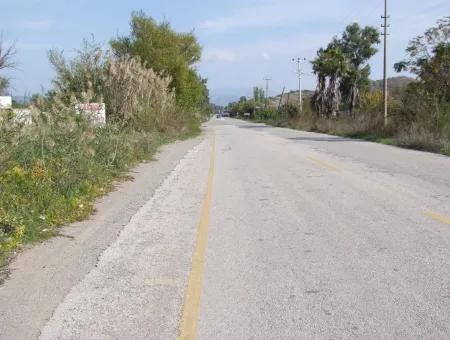 Land For Sale In Guzelyurt Land For Sale Zero 5515M2 Land For Sale On The Main Road