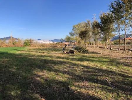 Land For Sale In Dalyan 2540M2