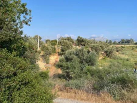 Land For Sale In Fevziye 1858M2 Land For Sale With Full Sea View