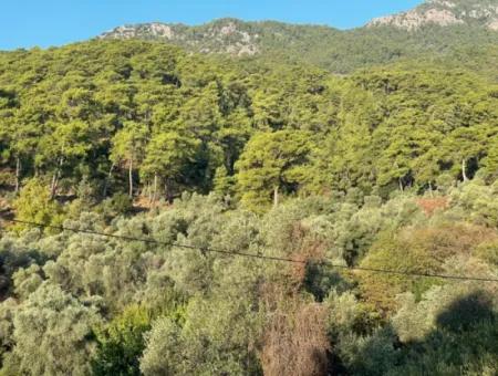 Çandir 3,800M2 Land For Sale