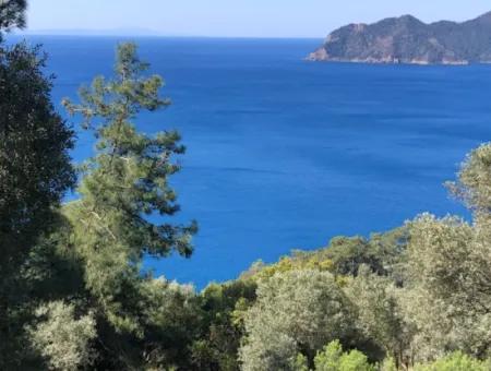 Land For Sale With Sea View Of Çandir