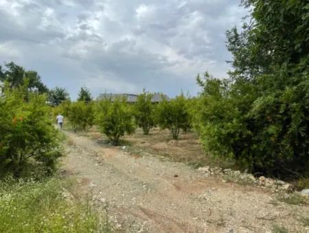 2,528M2 Field For Sale Near The Center Of Dalyan