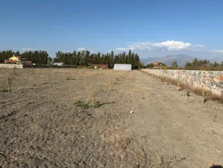 19.663M2 Land For Sale In Eskiköy