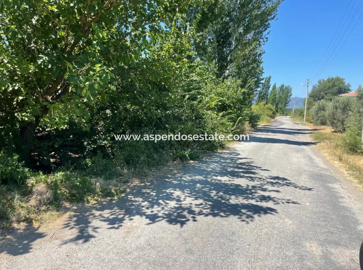 Tepearasın'da Yol Sıfır 6820M2 Nar Ve Limon Bahçesi Satılıktır