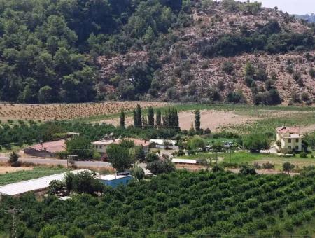 Gökbelde Satılık Arsa Dalyan İztuzu Yoluna Sıfır 7484M2 Göle Sıfır Satılık Arsa