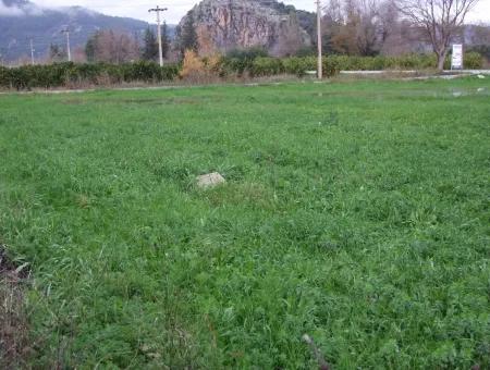 Dalyan Gülpınar Satılık Arsa Dalyan 1,002M2 Satılık Köşenası Satılık Arsa