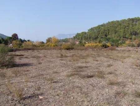 Çamlı'da Deniz Manzaralı 6850M2 İmarlı Satılık Arsa