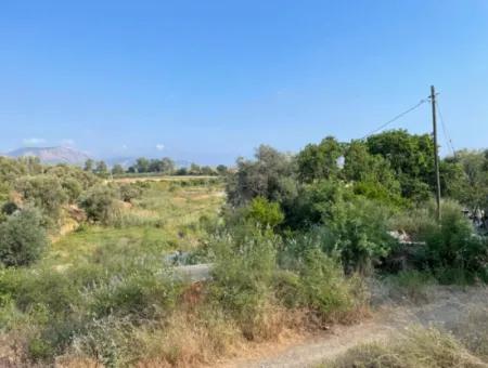 Fevziye Satılık Arsa Full Deniz Manzaralı 1858M2 Satılık Arsa