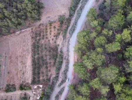 Mergenlide Aşı Koyu Yolu Üzerinde Satılık 3578M2 Tarla