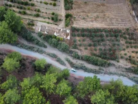 Mergenlide Aşı Koyu Yolu Üzerinde Satılık 3578M2 Tarla